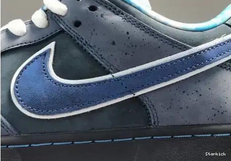Nike Blue Lobster Low - Dunk 313170-342 SB 0525